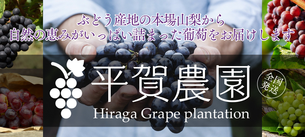 ぶどう産地の本場山梨から自然の恵みがいっぱい詰まった葡萄をお届けします